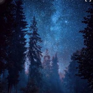 Meet your Posher, Terry